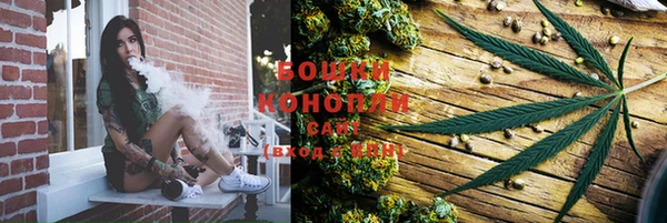гашик Вязники