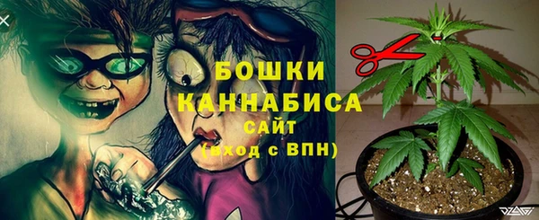 гашик Вязники