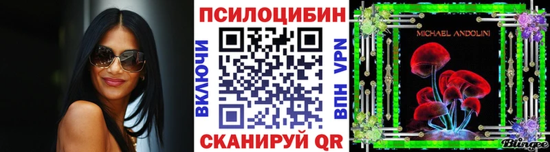 Псилоцибиновые грибы мухоморы  купить закладку  hydra рабочий сайт  Железноводск 