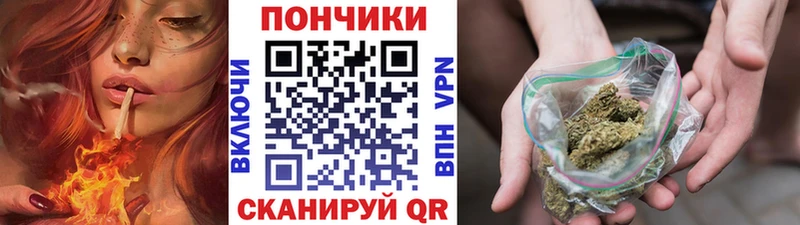 Бошки Шишки сатива  Железноводск 